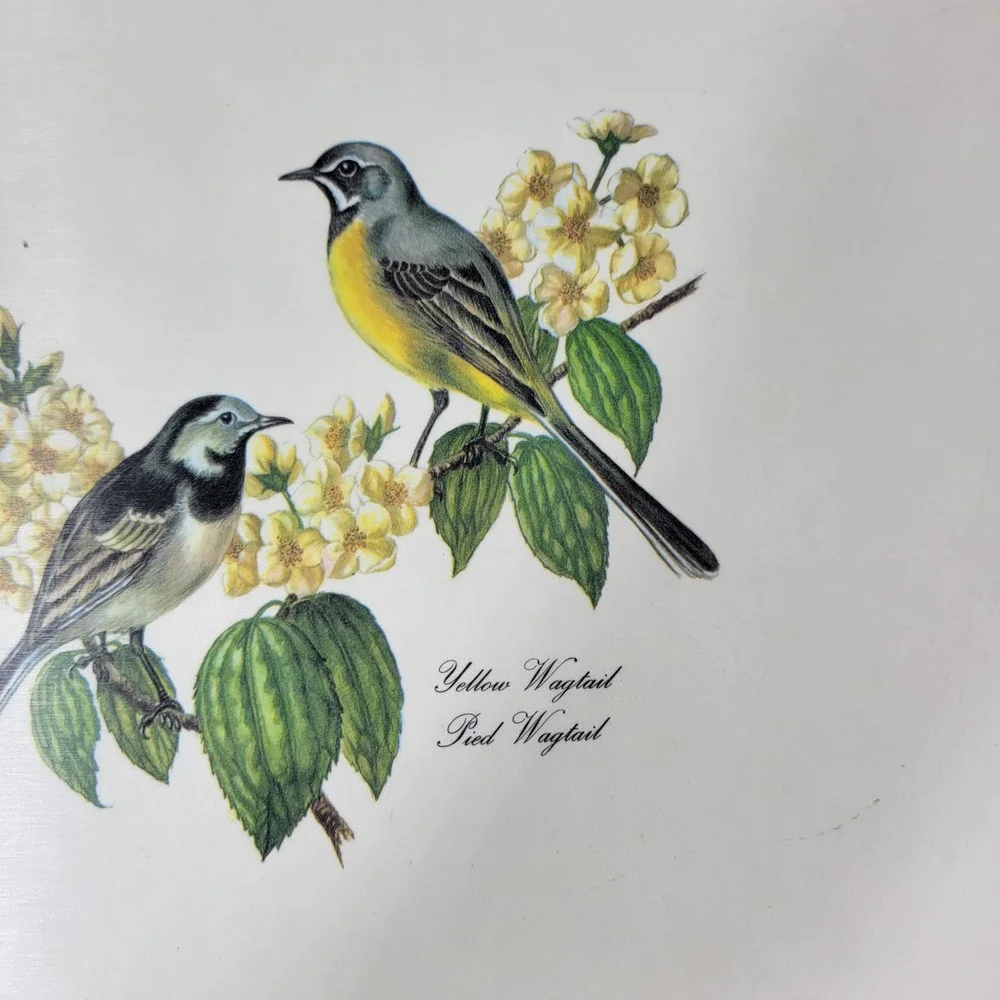 VTG Lady Clare Bird Luncheon Placemats Set 4 Felt Back England Warbler Bunting